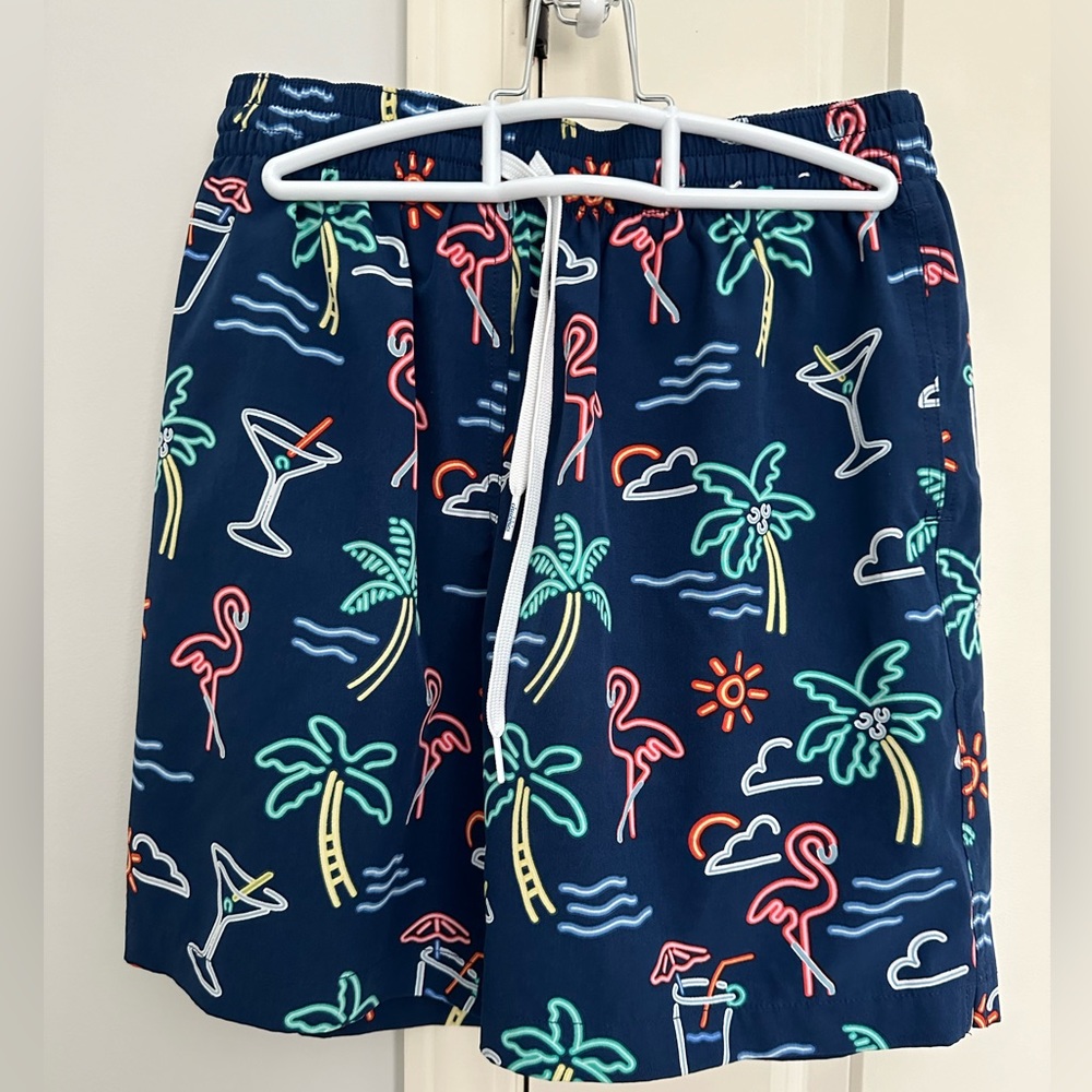 Men's Chubbies Swim Trunks